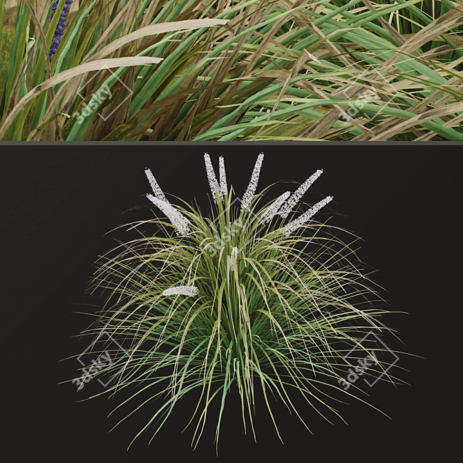 Title: Lush Set of Dwarf Lilyturf Plants 3D model image 5