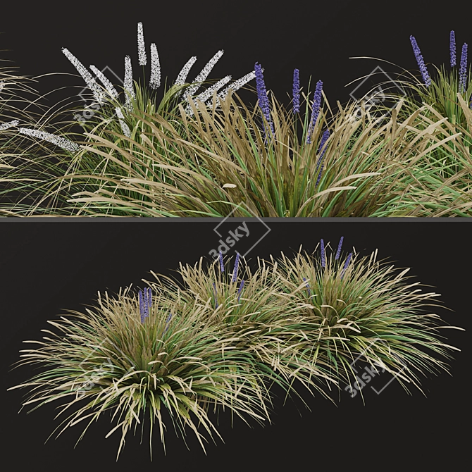 Title: Lush Set of Dwarf Lilyturf Plants 3D model image 7