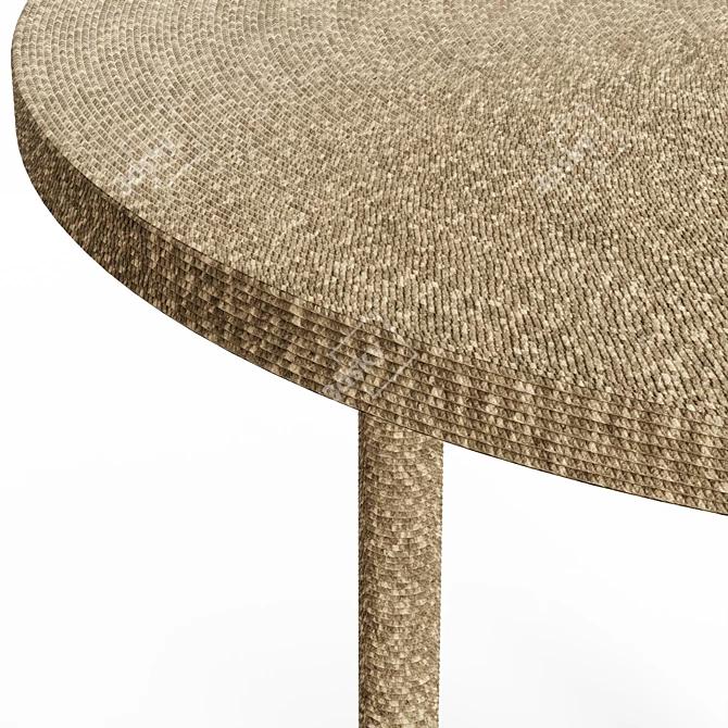 Seagrass Rope Side Table 3D model image 5