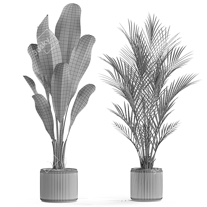 Variety of Plants 563 3D model image 4