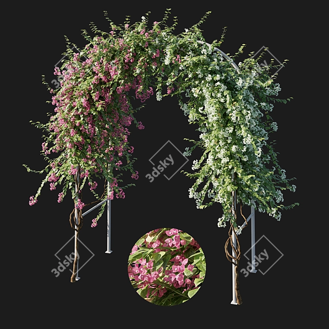 Exquisite Bougainvillea 03: Stunning 3D Plant 3D model image 1