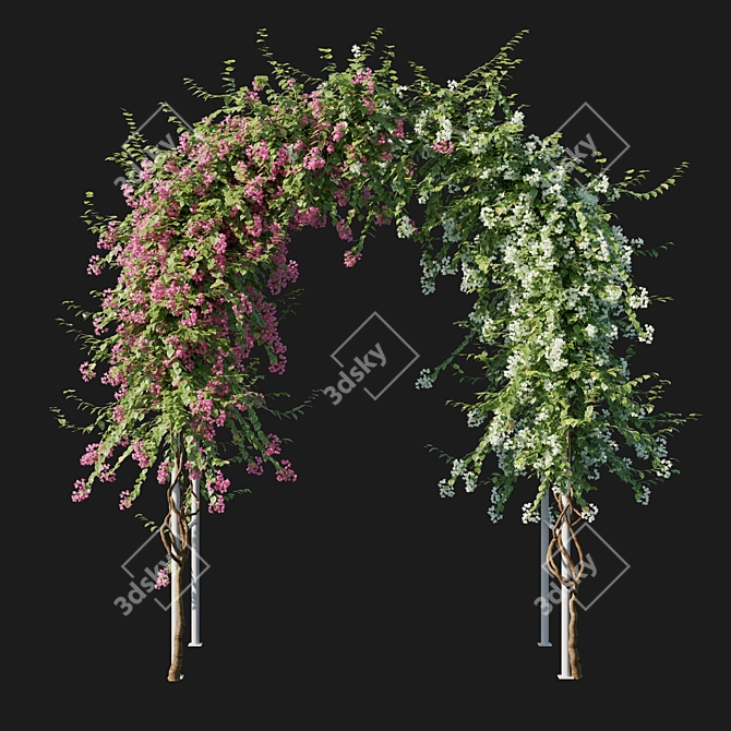 Exquisite Bougainvillea 03: Stunning 3D Plant 3D model image 2