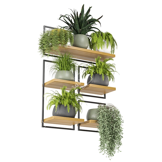 Rustic Indoor Plants Set 3D model image 2