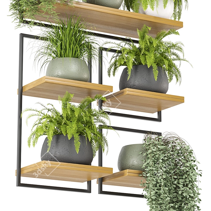 Rustic Indoor Plants Set 3D model image 4