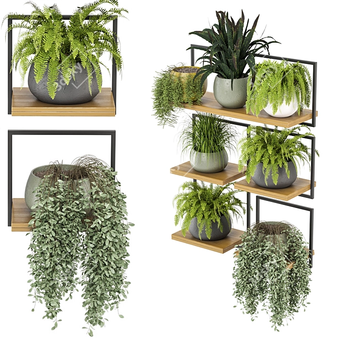 Rustic Indoor Plants Set 3D model image 8