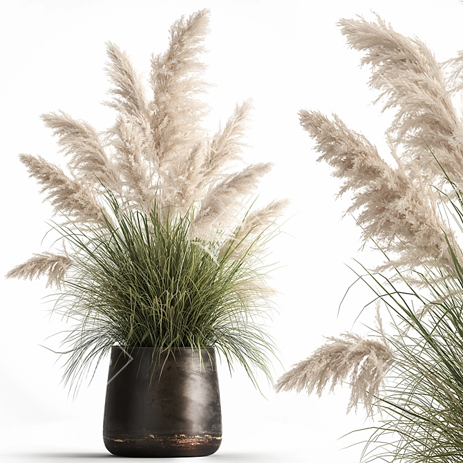 Exotic Plant Collection: Decorative Plants for Indoor and Outdoor Spaces 3D model image 1