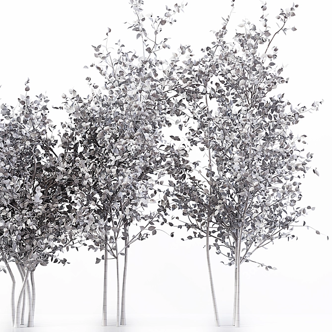 Elegant 3D Tree for Stunning Renders 3D model image 4