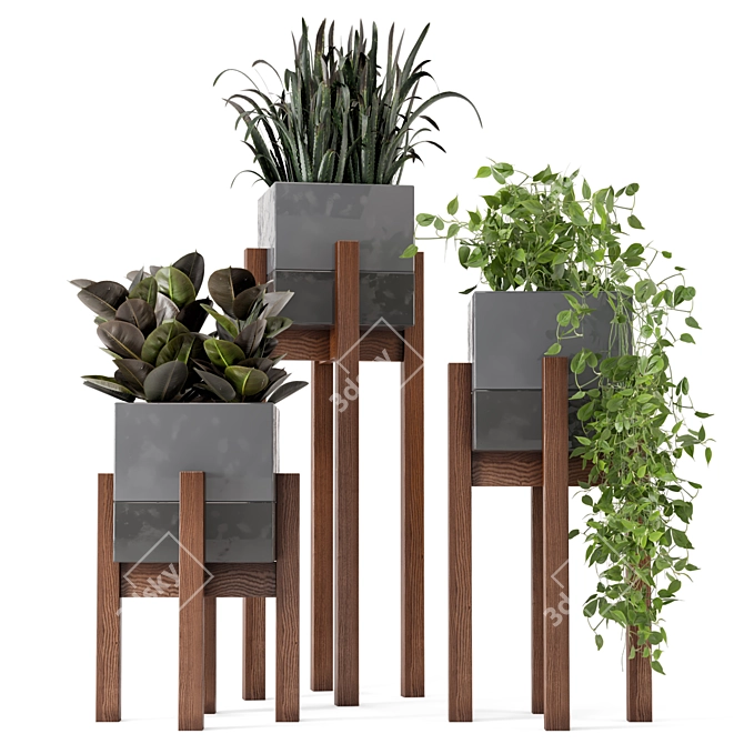 Wood & Concrete Indoor Plant Set (237) 3D model image 1