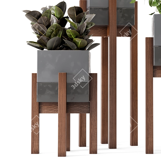 Wood & Concrete Indoor Plant Set (237) 3D model image 2
