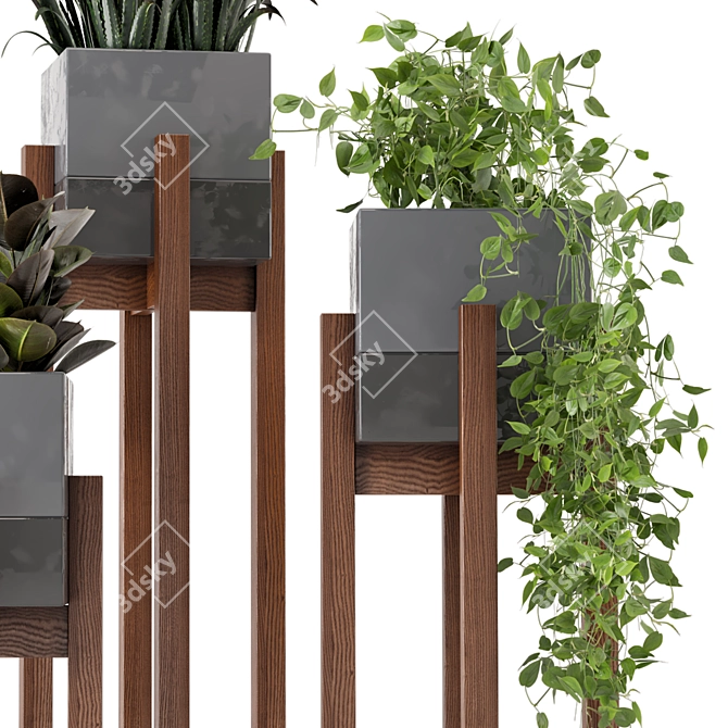 Wood & Concrete Indoor Plant Set (237) 3D model image 3