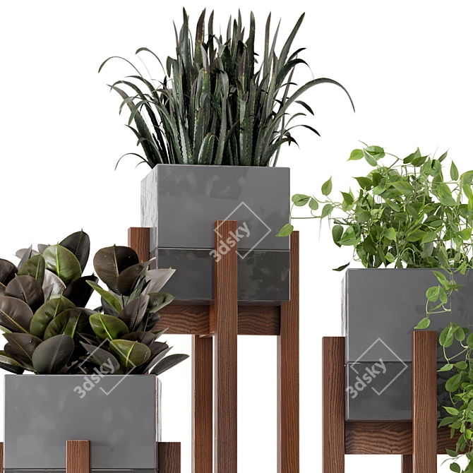 Wood & Concrete Indoor Plant Set (237) 3D model image 4