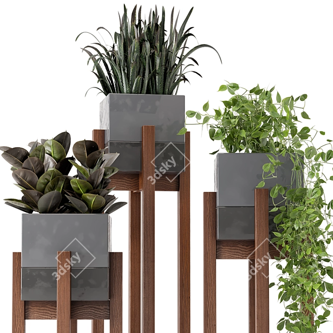 Wood & Concrete Indoor Plant Set (237) 3D model image 5