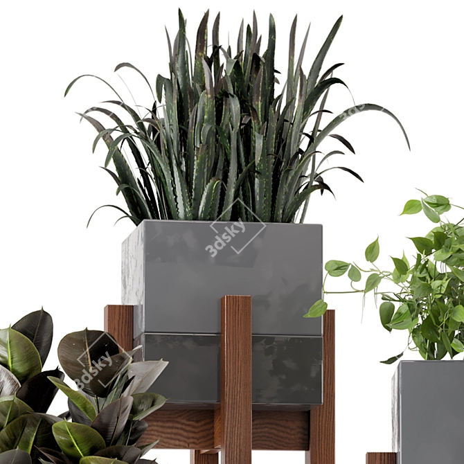 Wood & Concrete Indoor Plant Set (237) 3D model image 6