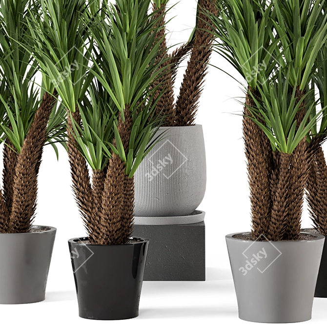 Rustic Concrete Pot Indoor Plants 3D model image 2