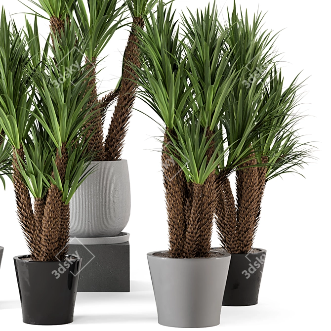 Rustic Concrete Pot Indoor Plants 3D model image 3