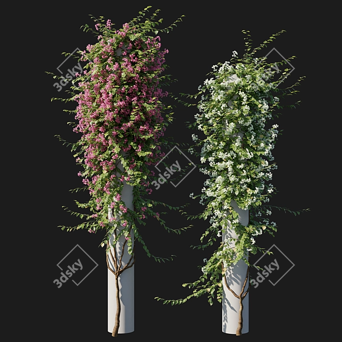 Elegant Bougainvillea Plant 05 3D model image 1