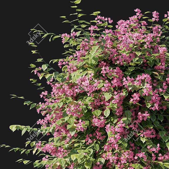 Elegant Bougainvillea 06 Sculpture 3D model image 2