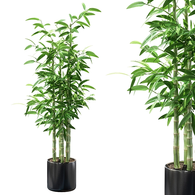 Green Oasis: Lush 3D Plant Collection 3D model image 1