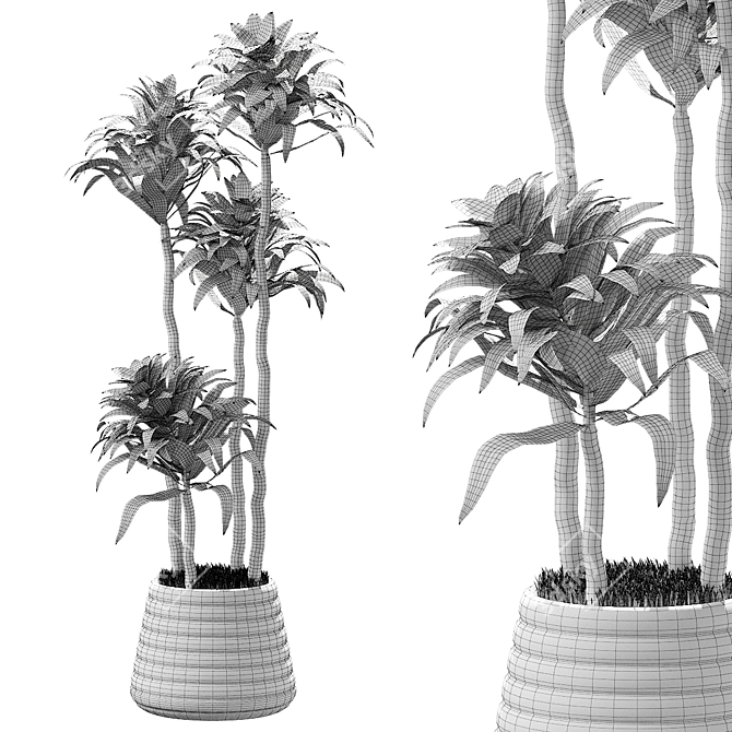 Exquisite Plants Collection 2014 3D model image 2