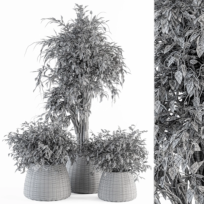 Green Oasis Indoor Plant Set 3D model image 4