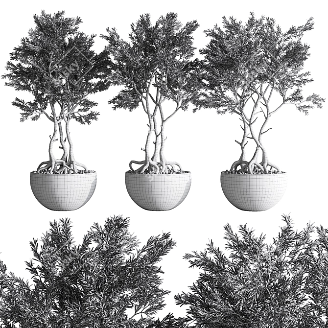 52-Piece Indoor Plant Set: Stunning 3D Models & Multiple Formats 3D model image 7