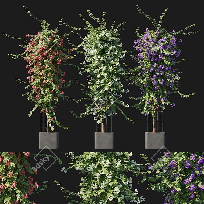 Bougainvillea 09: Versatile 3D Floral Model 3D model image 1