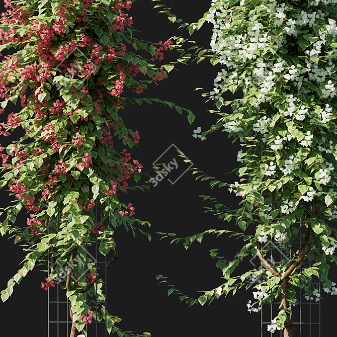 Bougainvillea 09: Versatile 3D Floral Model 3D model image 3