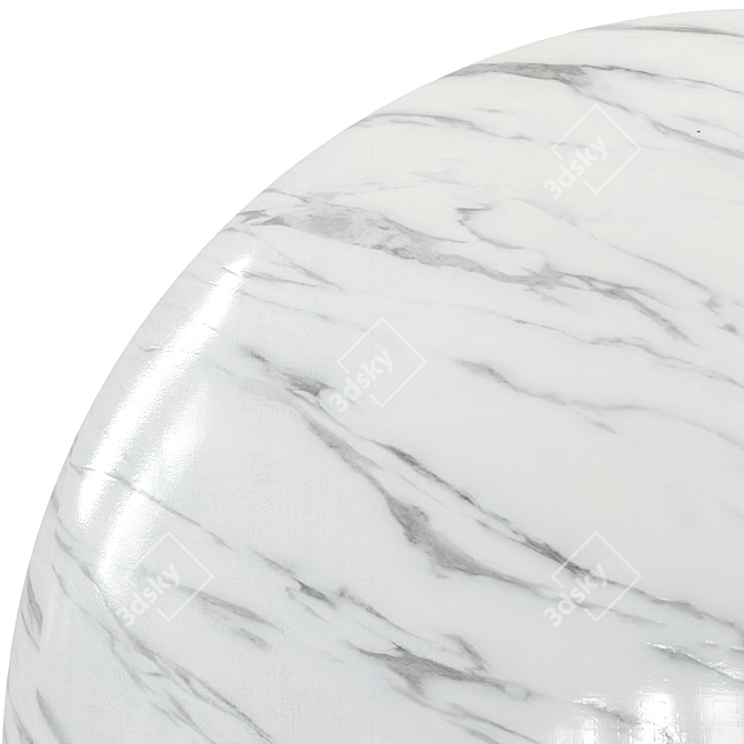 Elegant White Marble Slab 3D model image 4