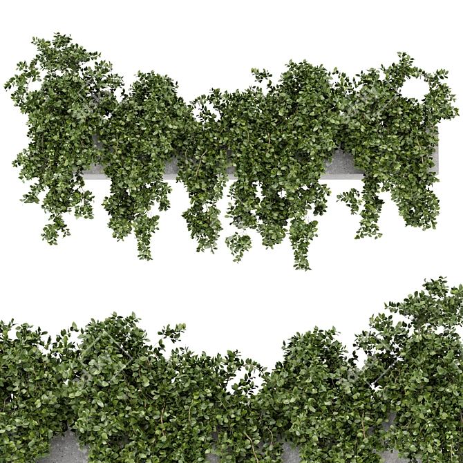 Rustic Hanging Planters - Set 241 3D model image 1