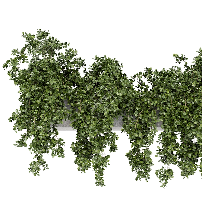 Rustic Hanging Planters - Set 241 3D model image 2