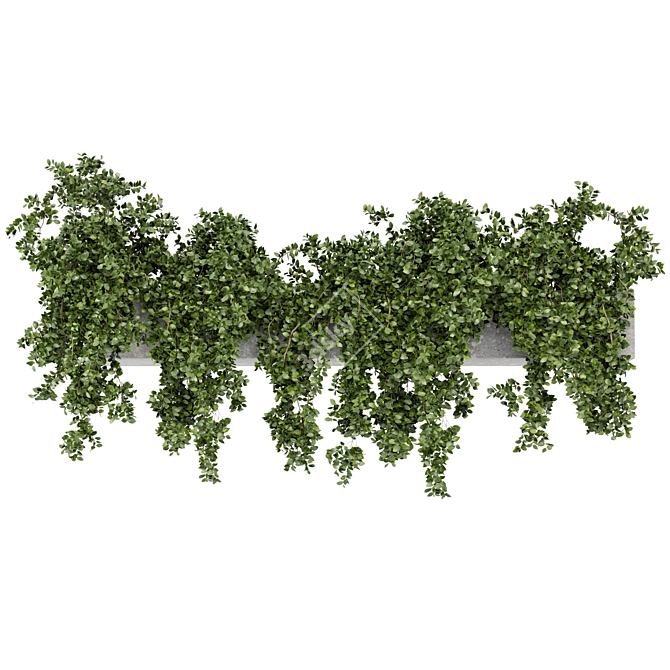 Rustic Hanging Planters - Set 241 3D model image 4