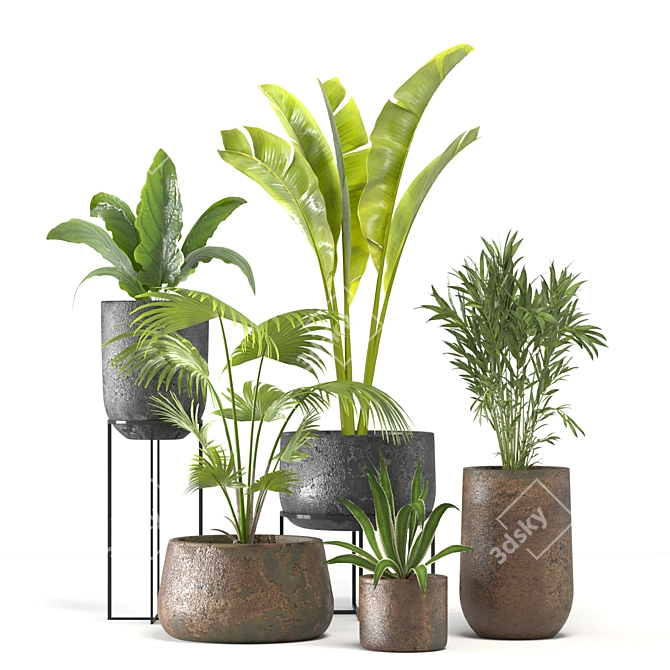 Tropical Oasis Plant Set 3D model image 1