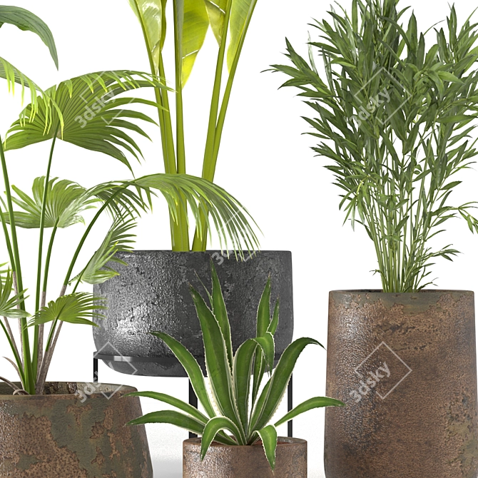 Tropical Oasis Plant Set 3D model image 2