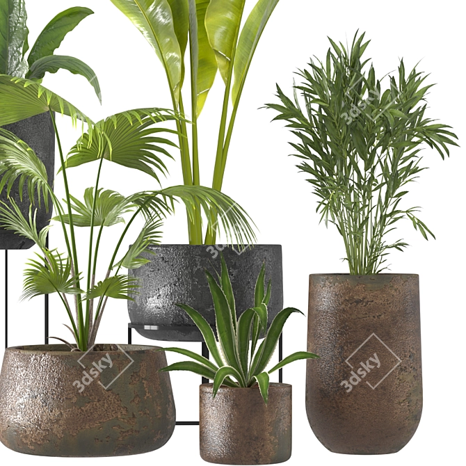 Tropical Oasis Plant Set 3D model image 3