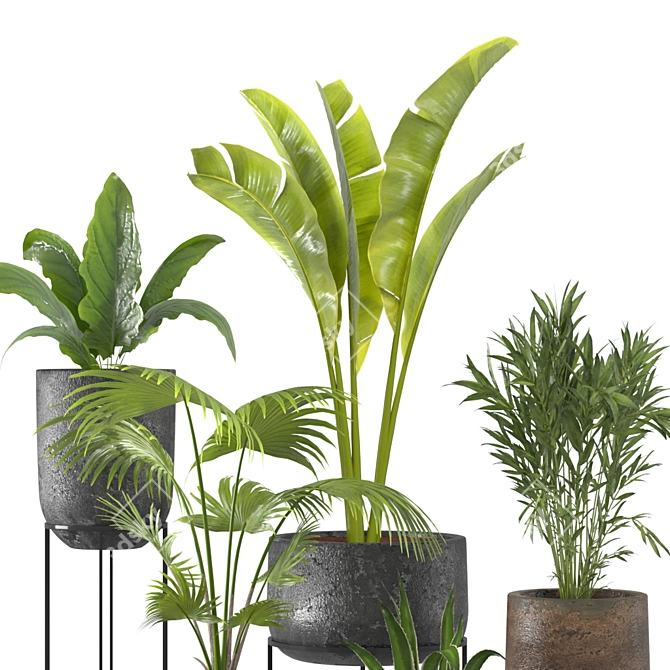 Tropical Oasis Plant Set 3D model image 4