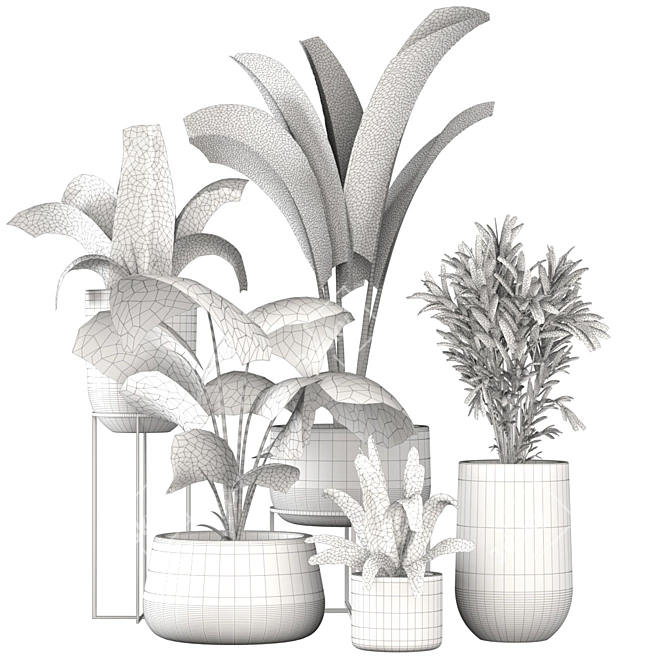 Tropical Oasis Plant Set 3D model image 5