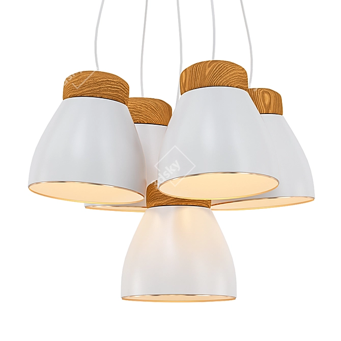 Albert Cluster Pendant Lamp 3D model image 1