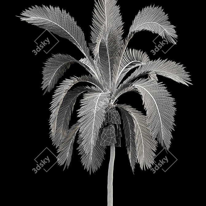 Tropical Majesty: Queen Palm Set 3D model image 4