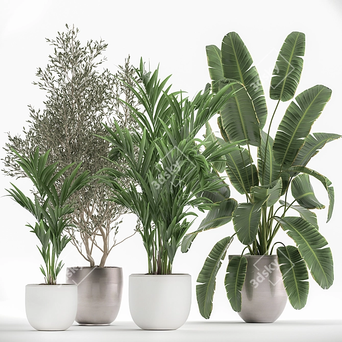 Exotic Plant Collection in White Pot 3D model image 1