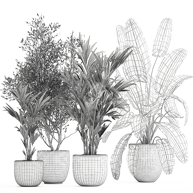 Exotic Plant Collection in White Pot 3D model image 6