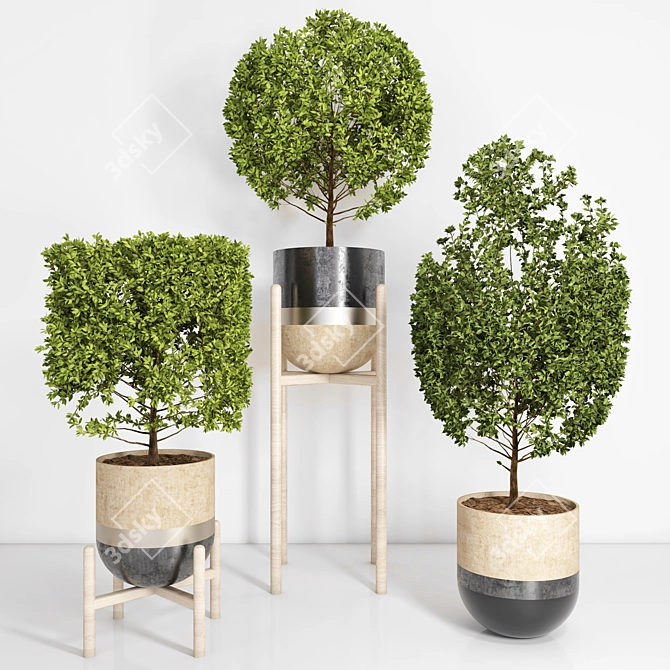 Title: Versatile Indoor-outdoor Plant 3D model image 1