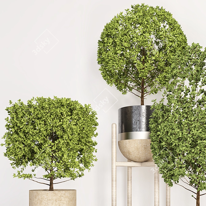 Title: Versatile Indoor-outdoor Plant 3D model image 2