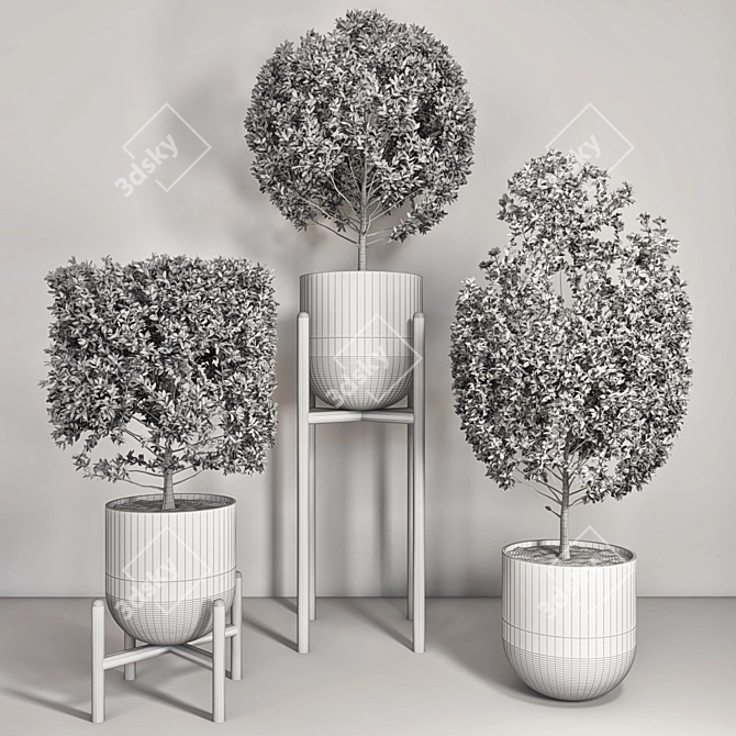 Title: Versatile Indoor-outdoor Plant 3D model image 3