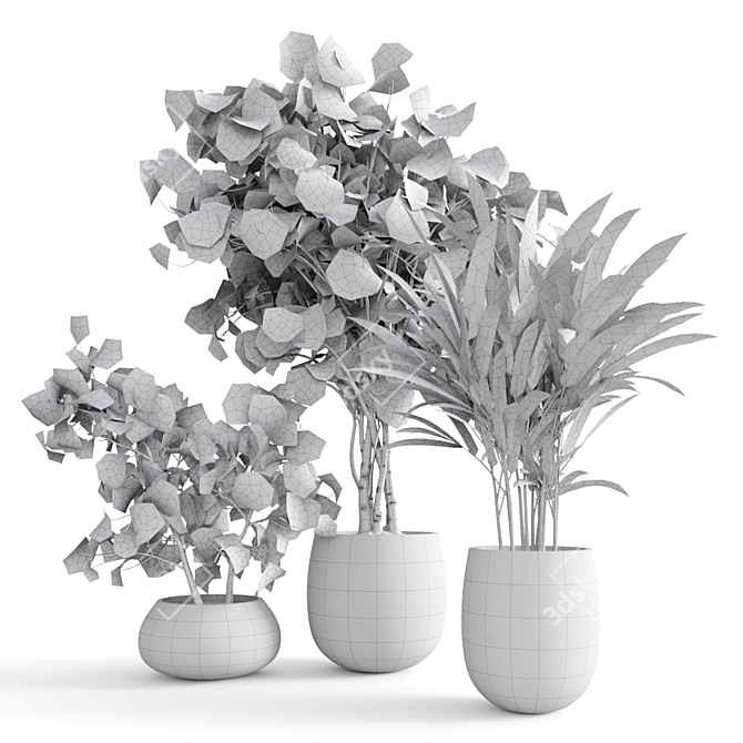 Tropical Indoor Plant Set 3D model image 5