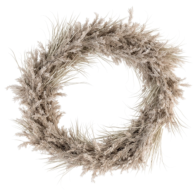 Pampas Wreath Set - 06 3D model image 1