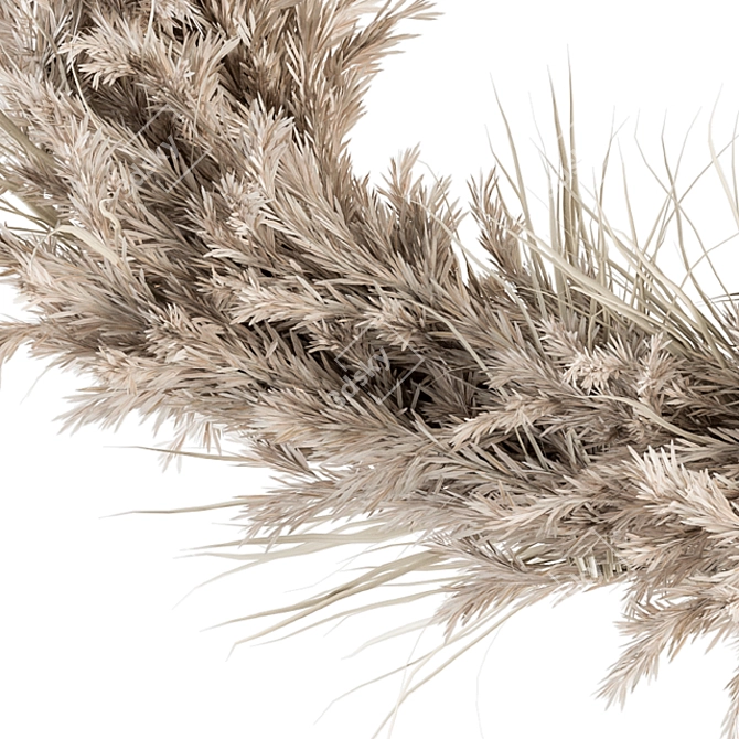 Pampas Wreath Set - 06 3D model image 2