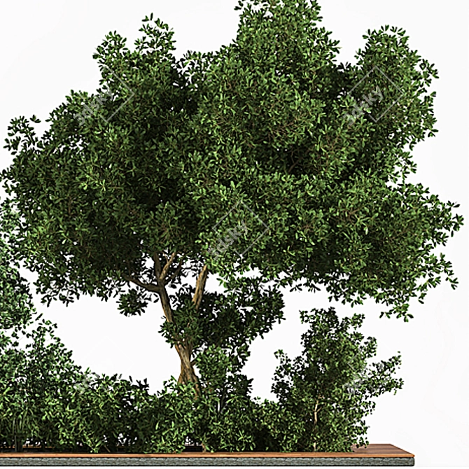 Grass & Tree Garden Set 3D model image 3