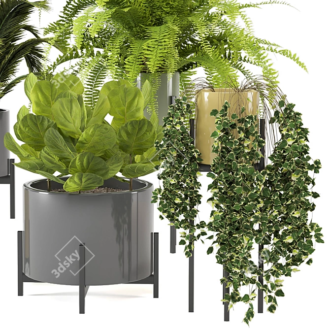 Modern Indoor Plants in Bau Pot Set 3D model image 2