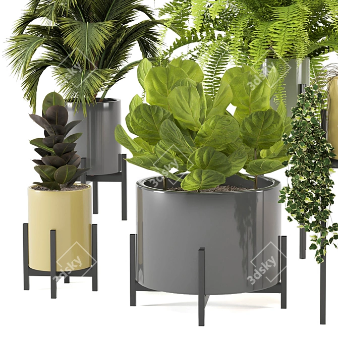 Modern Indoor Plants in Bau Pot Set 3D model image 3