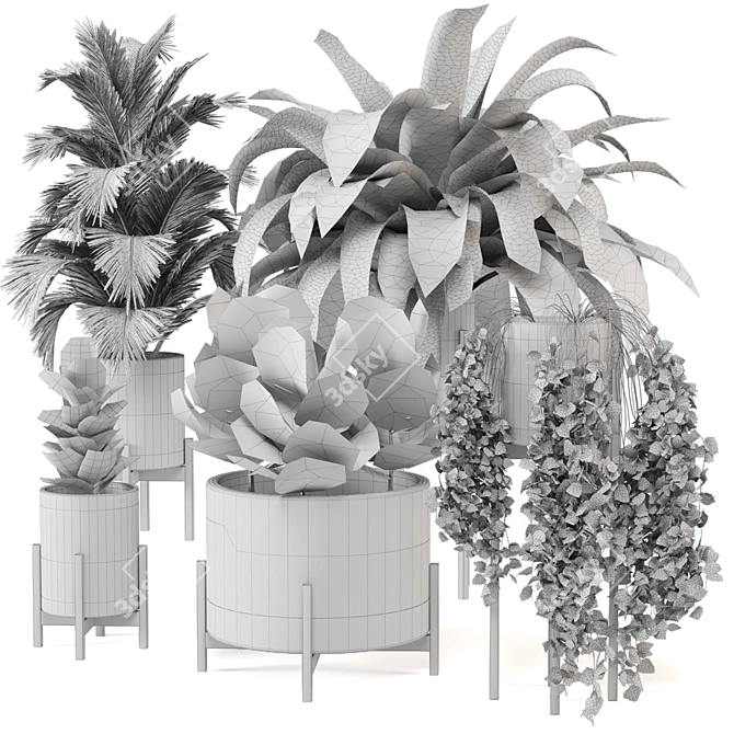 Modern Indoor Plants in Bau Pot Set 3D model image 6